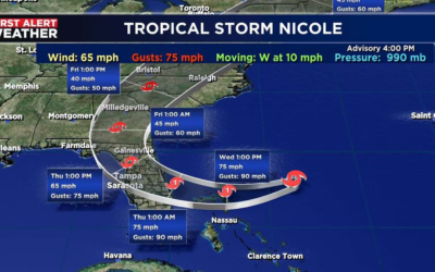 Subtropical Storm Nicole